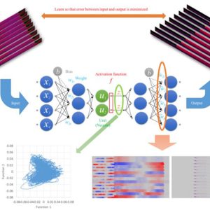 ニューラルネットワークを用いた燃焼振動の低次元化解析